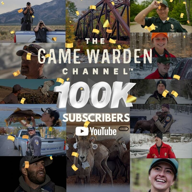 Engel Entertainment Branded Channel Reaches Silver Status with 100,000 Subscribers in Just Months!   